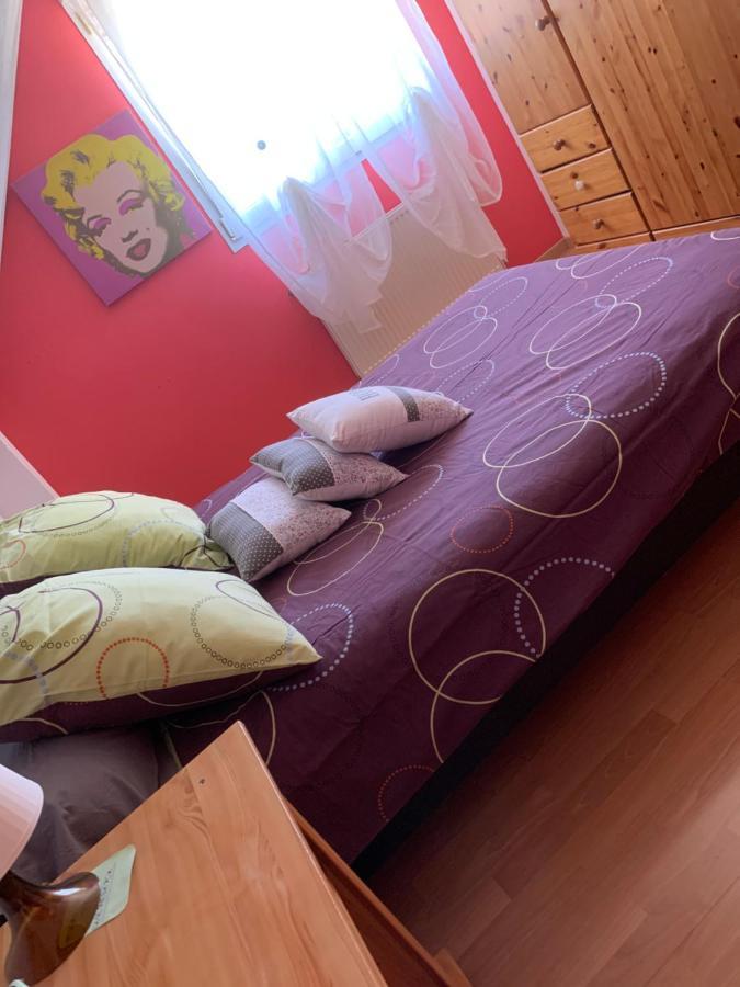 Chambre D Hote Maison Privee Kingersheim Bagian luar foto